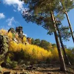 In Den Huettenroder Bergen Hüttenrode