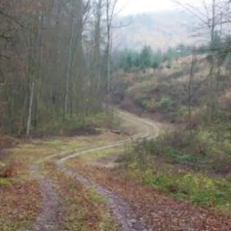 Near The Braunlage דירה *