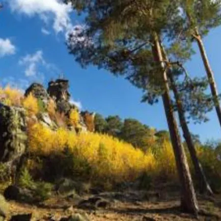 Near The Braunlage דירה Hüttenrode