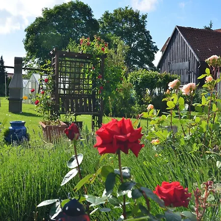 In Den Huettenroder Bergen