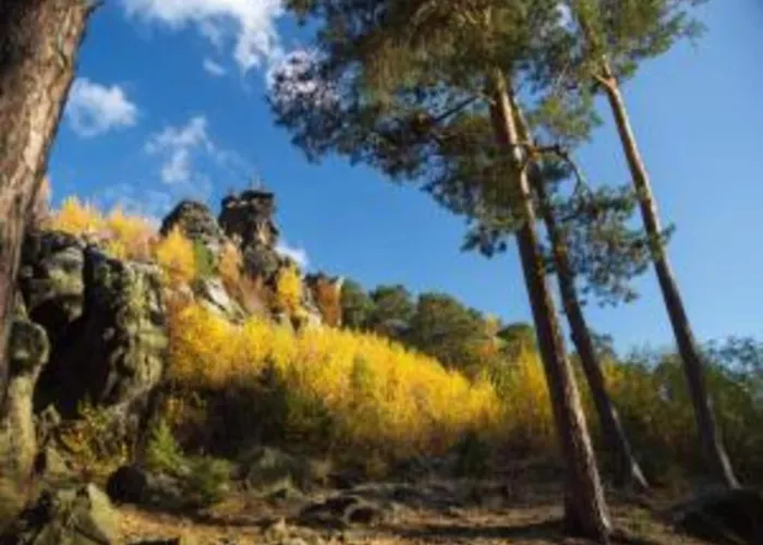 In Den Huettenroder Bergen Hüttenrode