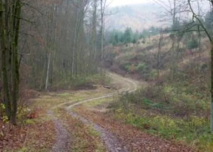 Appartement In Den Huettenroder Bergen *