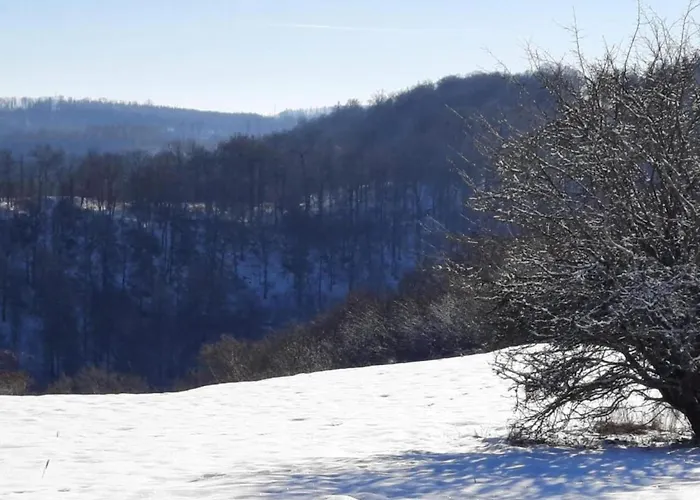 In Den Huettenroder Bergen Hüttenrode